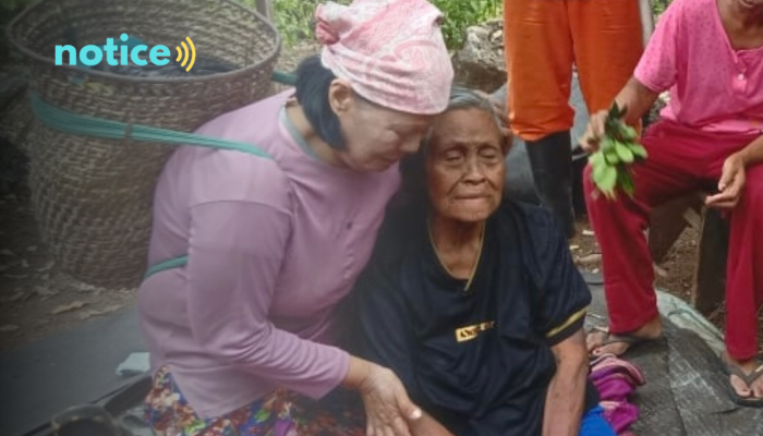 Kisah Wanita Lansia Tersesat di Hutan Halmahera Selama Berhari-hari