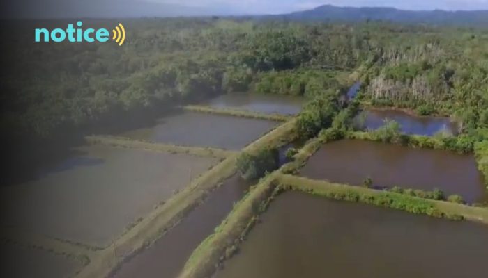 Kelompok Nelayan di Halmahera Barat Siap Budidaya Ikan